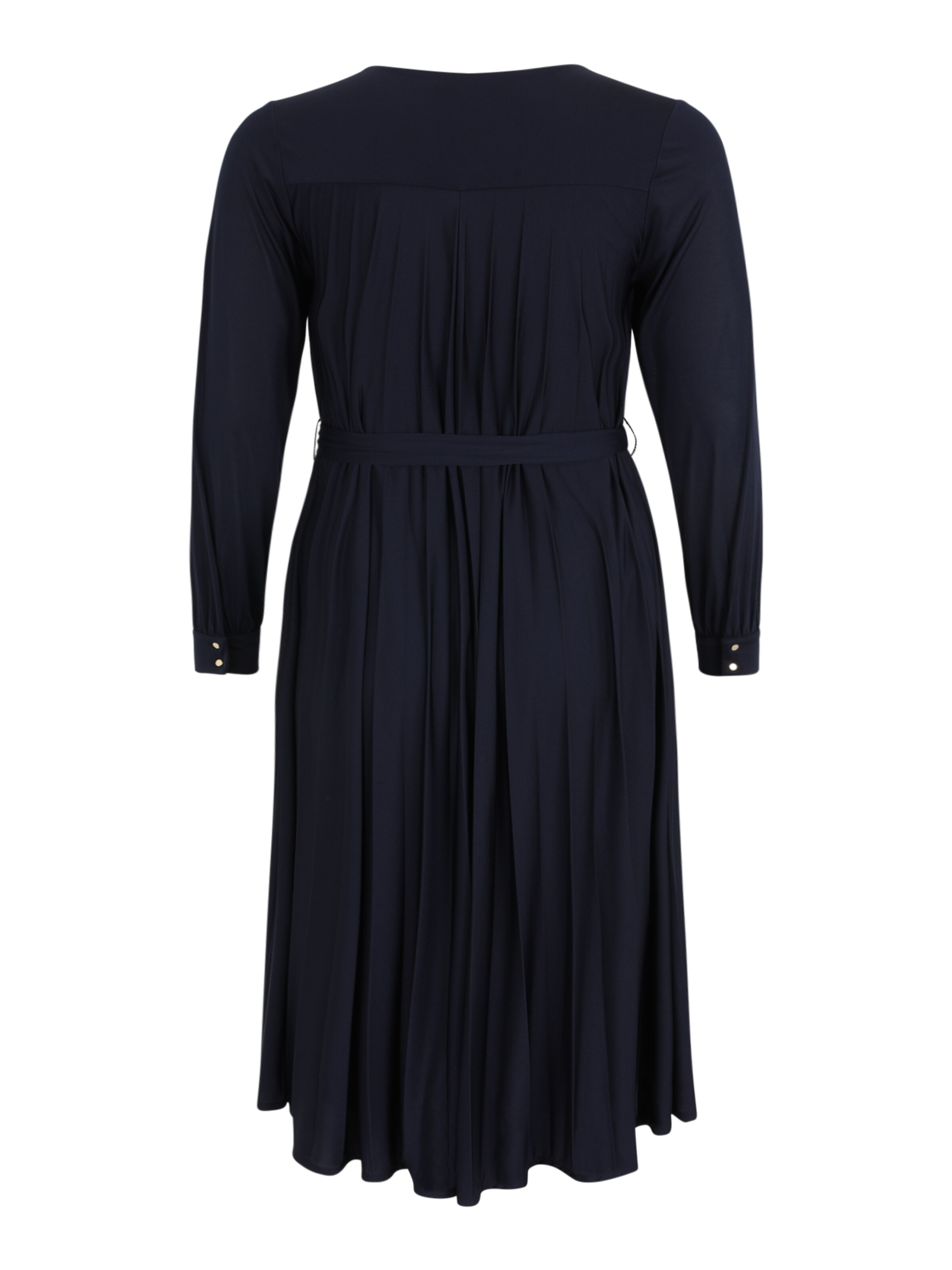 Guido Maria Kretschmer Curvy Dress 'Cosima' in Blue: back