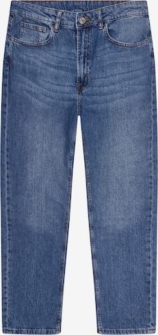 Denim Project Regular Jeans 'Boston' in Blau: predná strana