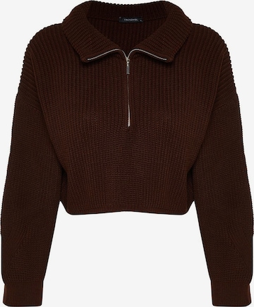 TrendyolPulover - smeđa boja: prednji dio