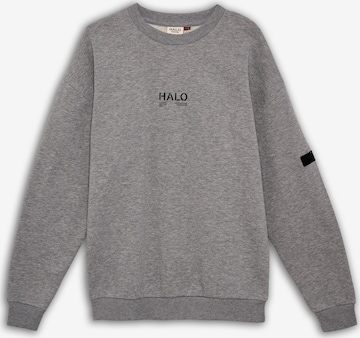 HALO Sportsweatshirt in Grau: Vorderseite