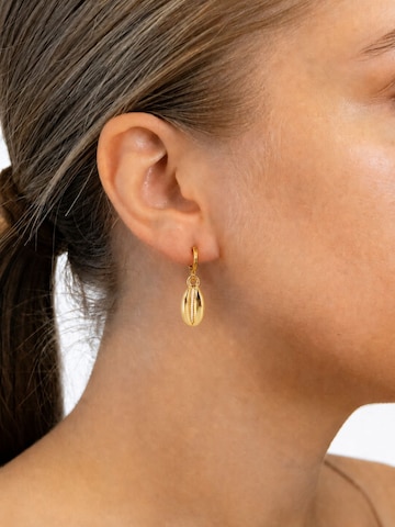 Fräulein Wunder Ohrringe 'Ohrringe Cowrie'‌‌‌‌‌‌‌‌‌‌ in Gold: Vorderseite