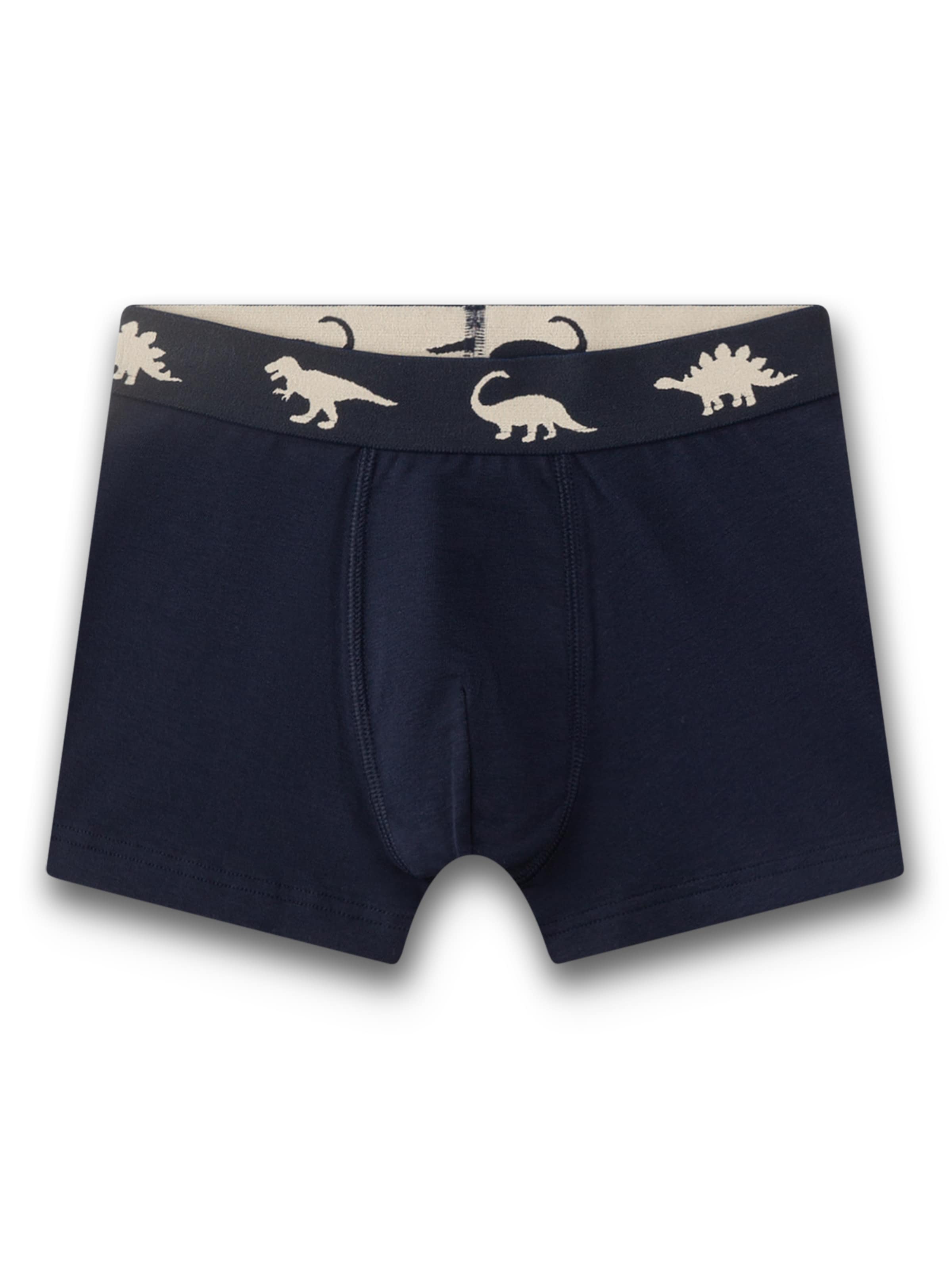 Sanetta Onderbroek in Blauw