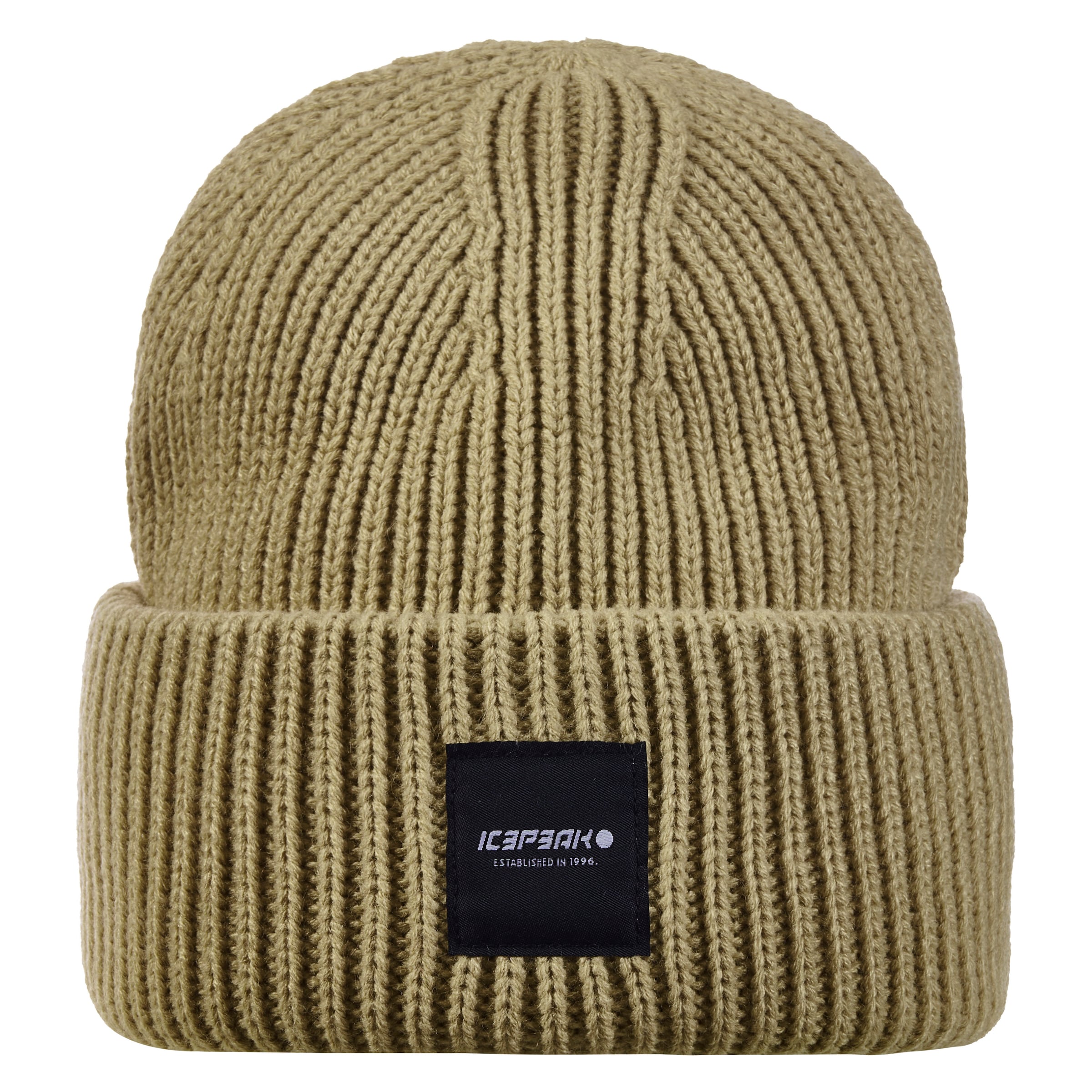 ICEPEAK Beanie in Green: front