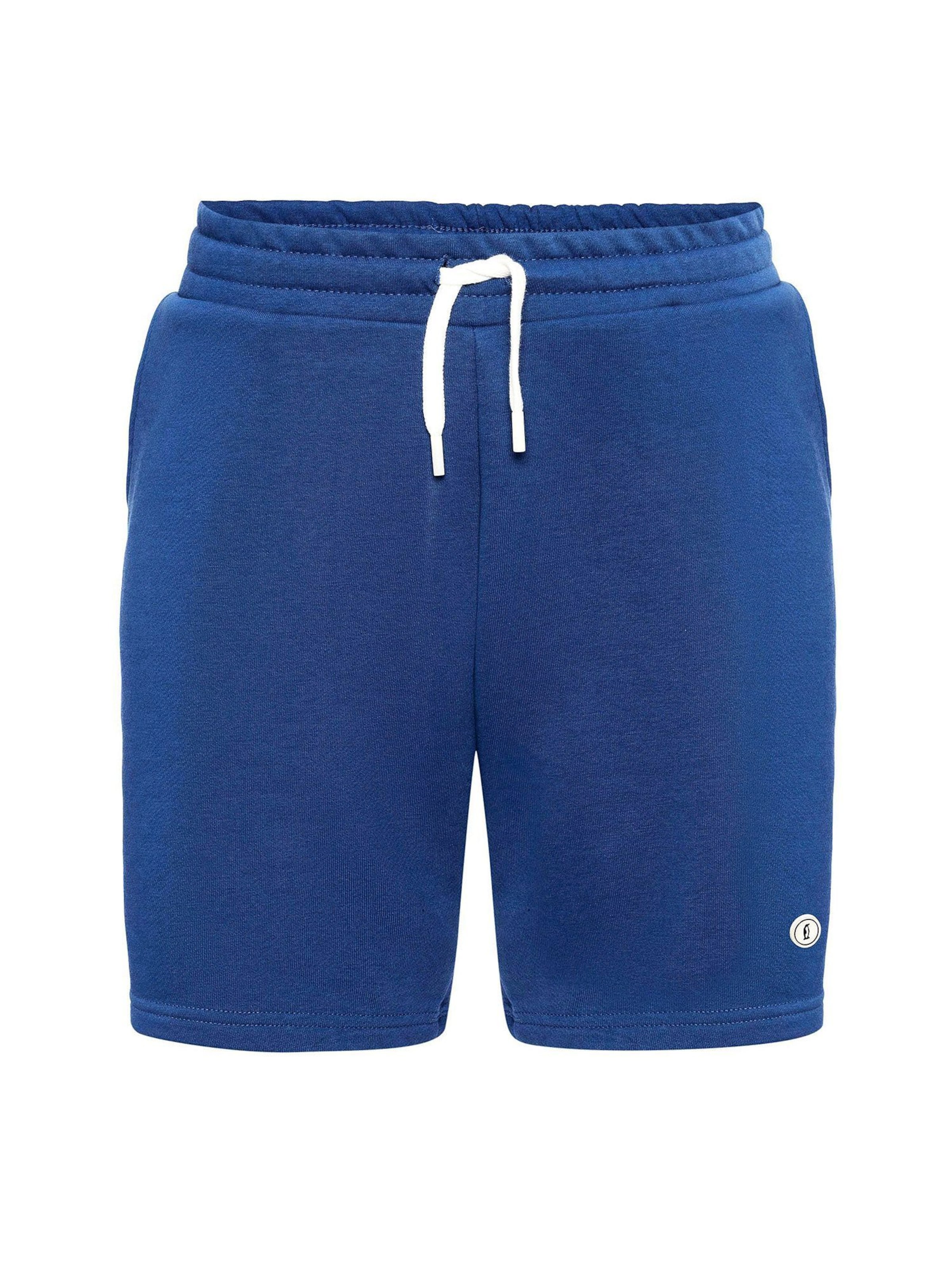 regular Pantaloni di Dandalo in blu: frontale