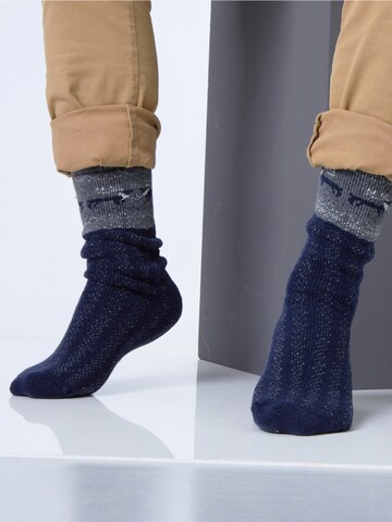 HomeOfSocks Socks 'HOS453' in Blue