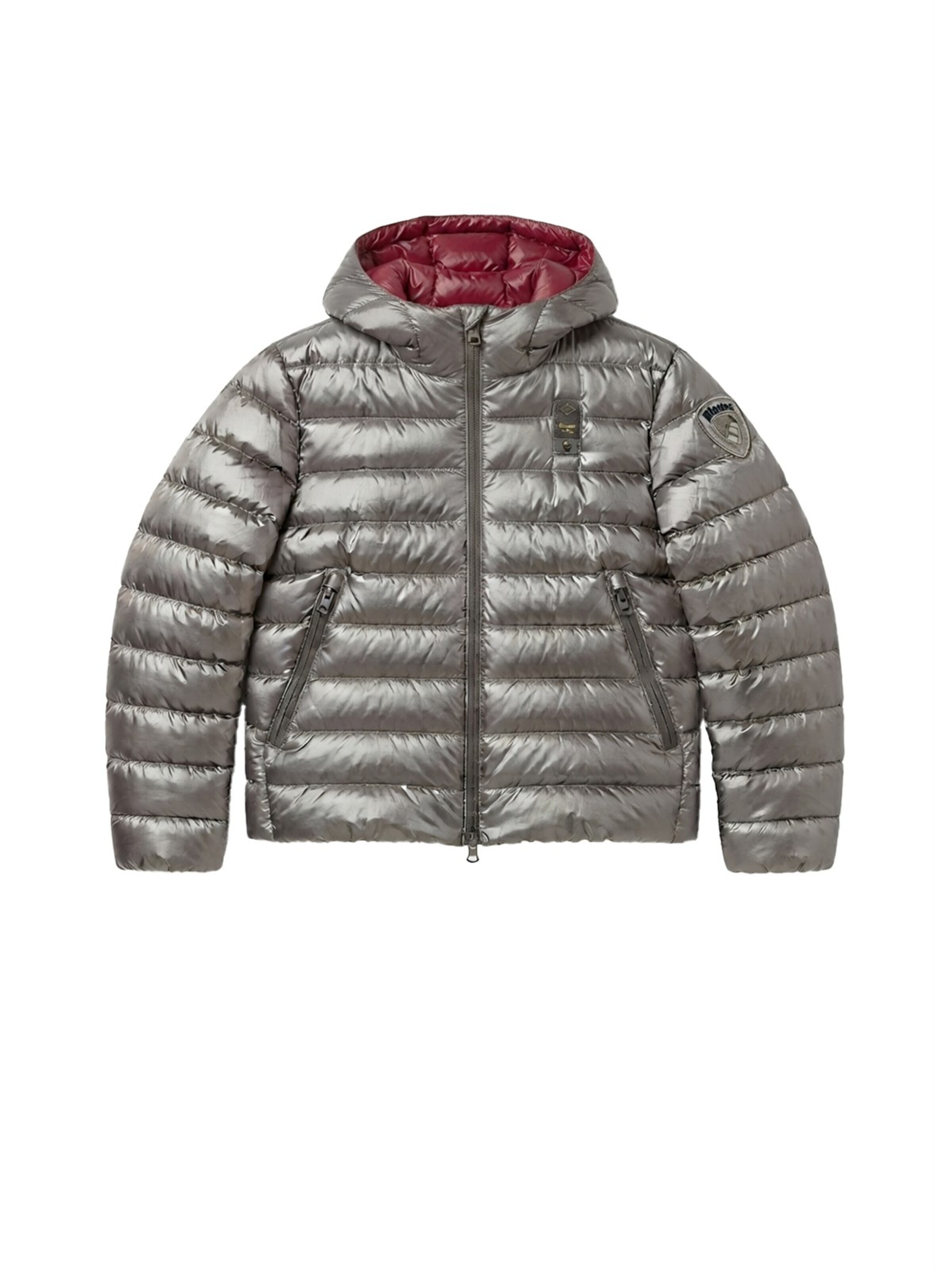 Blauer.USA Winter jacket in Grey: front