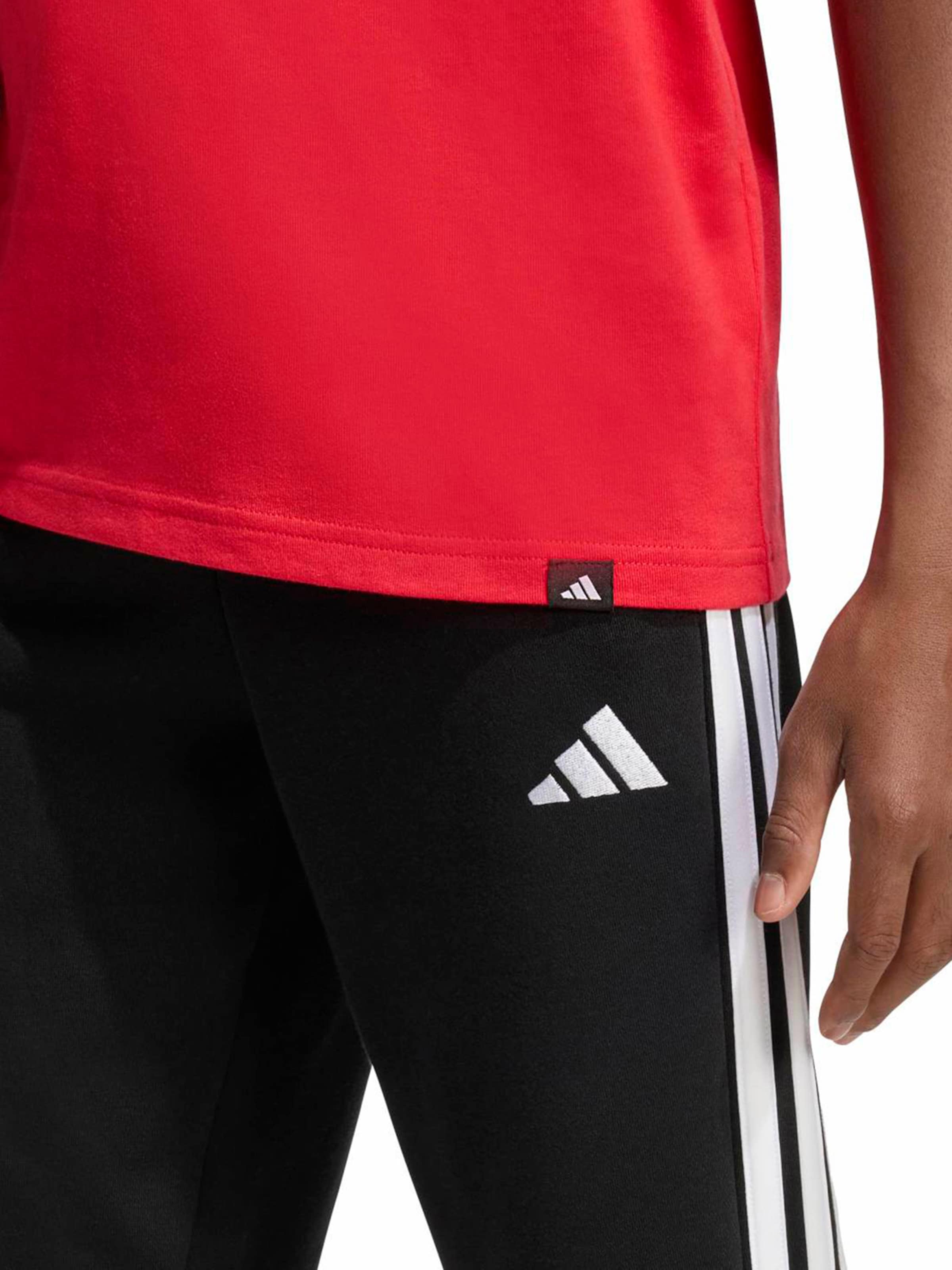 ADIDAS SPORTSWEAR Функциональная футболка в Красный