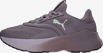 PUMA Laufschuh 'Softride Mayve' in pflaume, Produktansicht