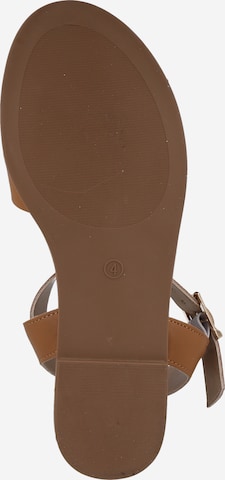 Sandales Dorothy Perkins en marron