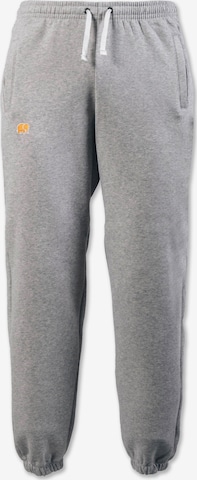 Trendsplantregular Sportske hlače ' ESSENTIAL ' - siva boja: prednji dio