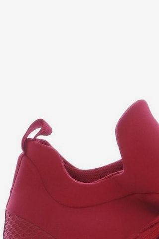 STEVE MADDEN Sneakers & Trainers in 37 in Red
