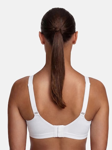 Push-up Soutien-gorge 'Seamless Compact Push-Up BH' cfab (formerly creamy fabrics) en beige