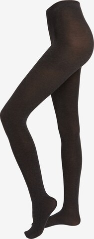 CALZEDONIA Tights in Grey: front