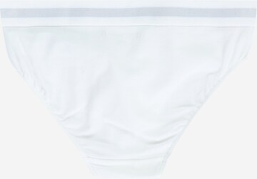 Tommy Hilfiger Underwear Underpants in Black