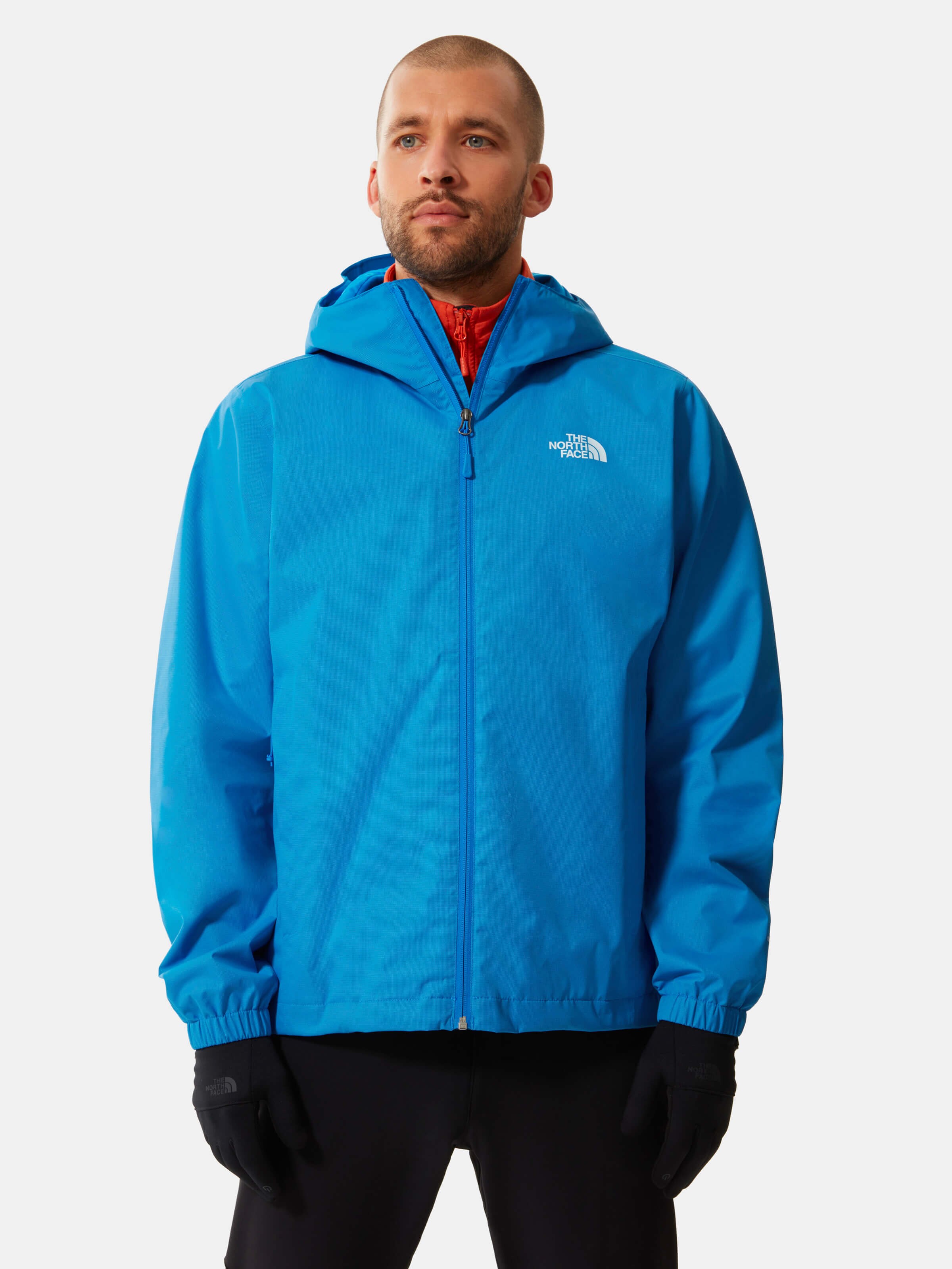 the north face n