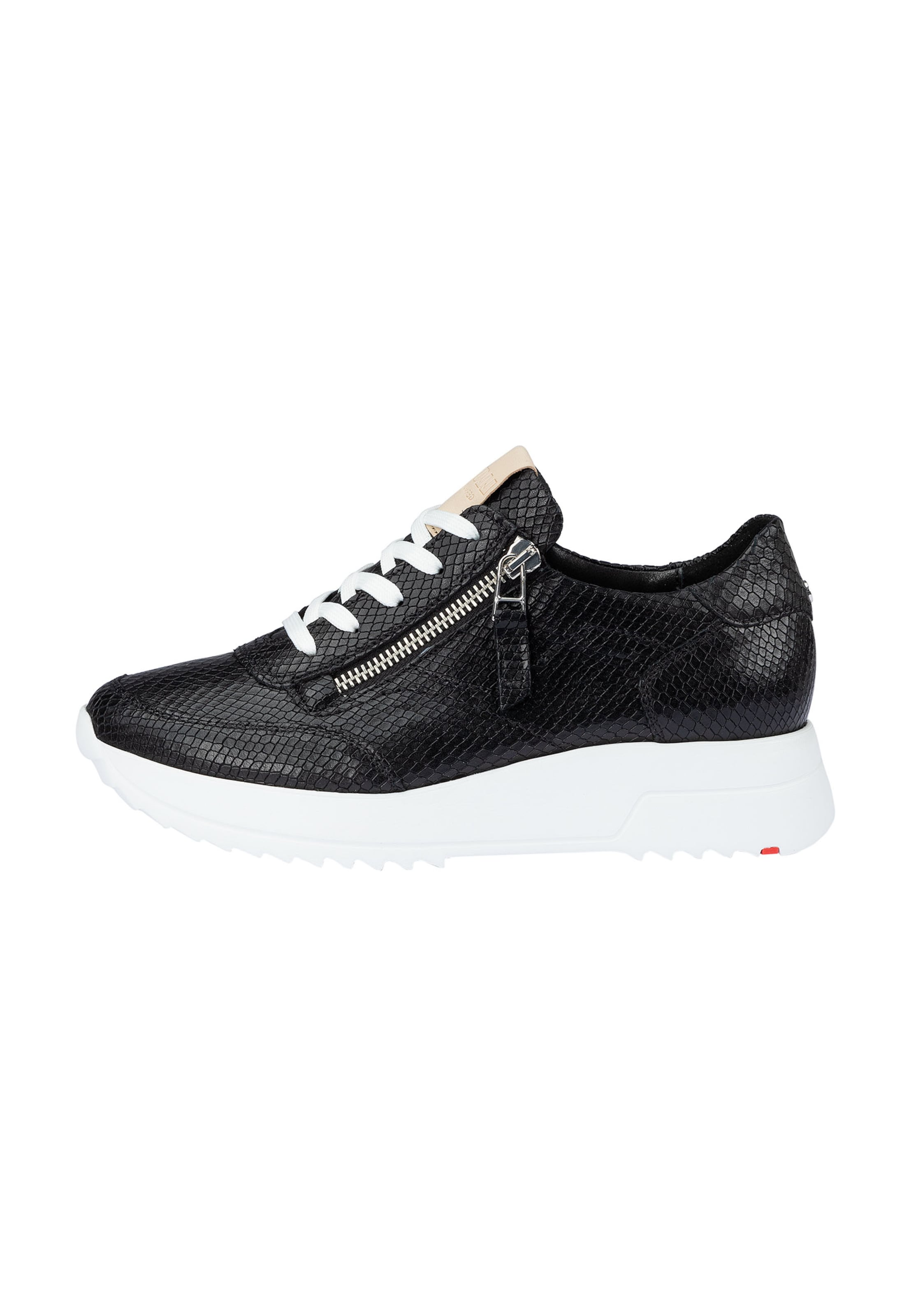 LLOYD Sneakers laag in 35 in de kleur Zwart / Wit, Productweergave