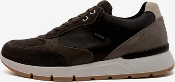 Nero Giardini Sneaker in Braun