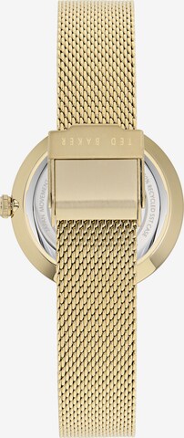Ted Baker Analoog horloge 'Darbey' in Goud
