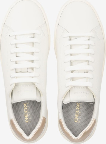 Sneaker bassa di GEOX in bianco