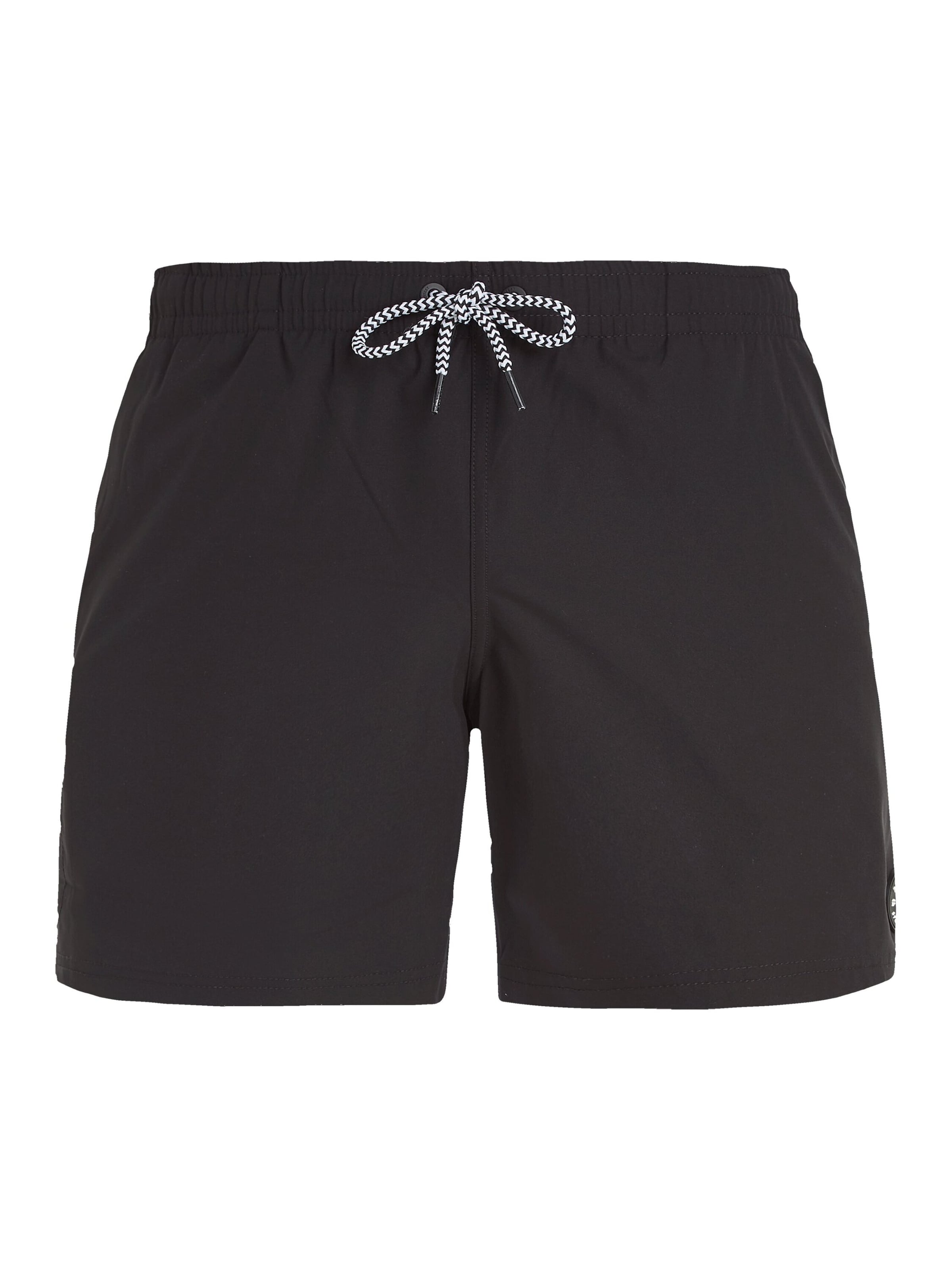 PROTEST Board Shorts 'PRTYESSINE' in Black
