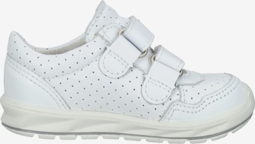 Pepino Sneakers in Wit