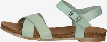 COSMOS COMFORT Sandals in Green