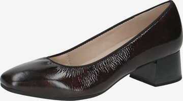 CAPRICE Pumps in Braun: Vorderseite
