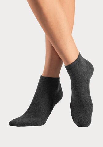 H.I.S Socks in Blue