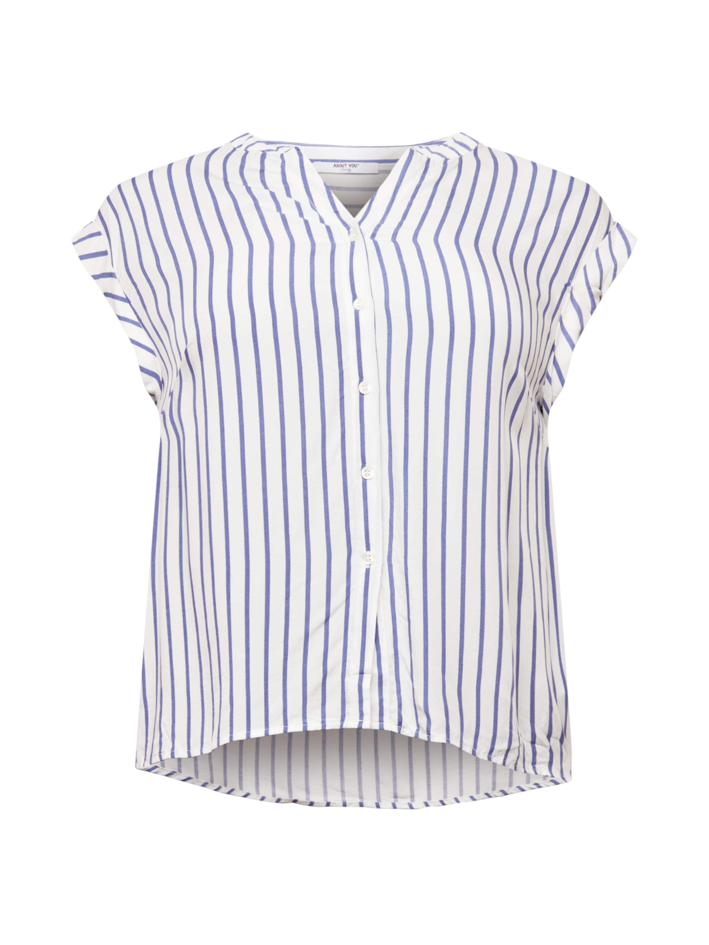 Bluză 'Jamal' de la ABOUT YOU Curvy pe alb: față