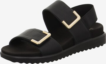 Legero Sandals in Black: front