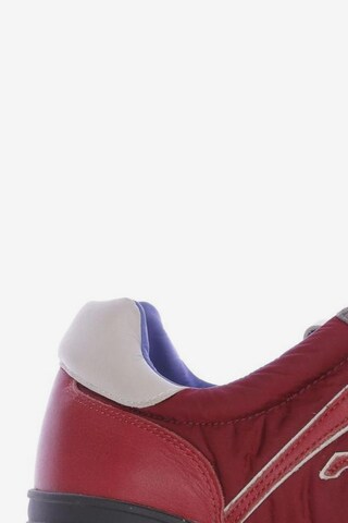Premiata Sneaker 44 in Rot