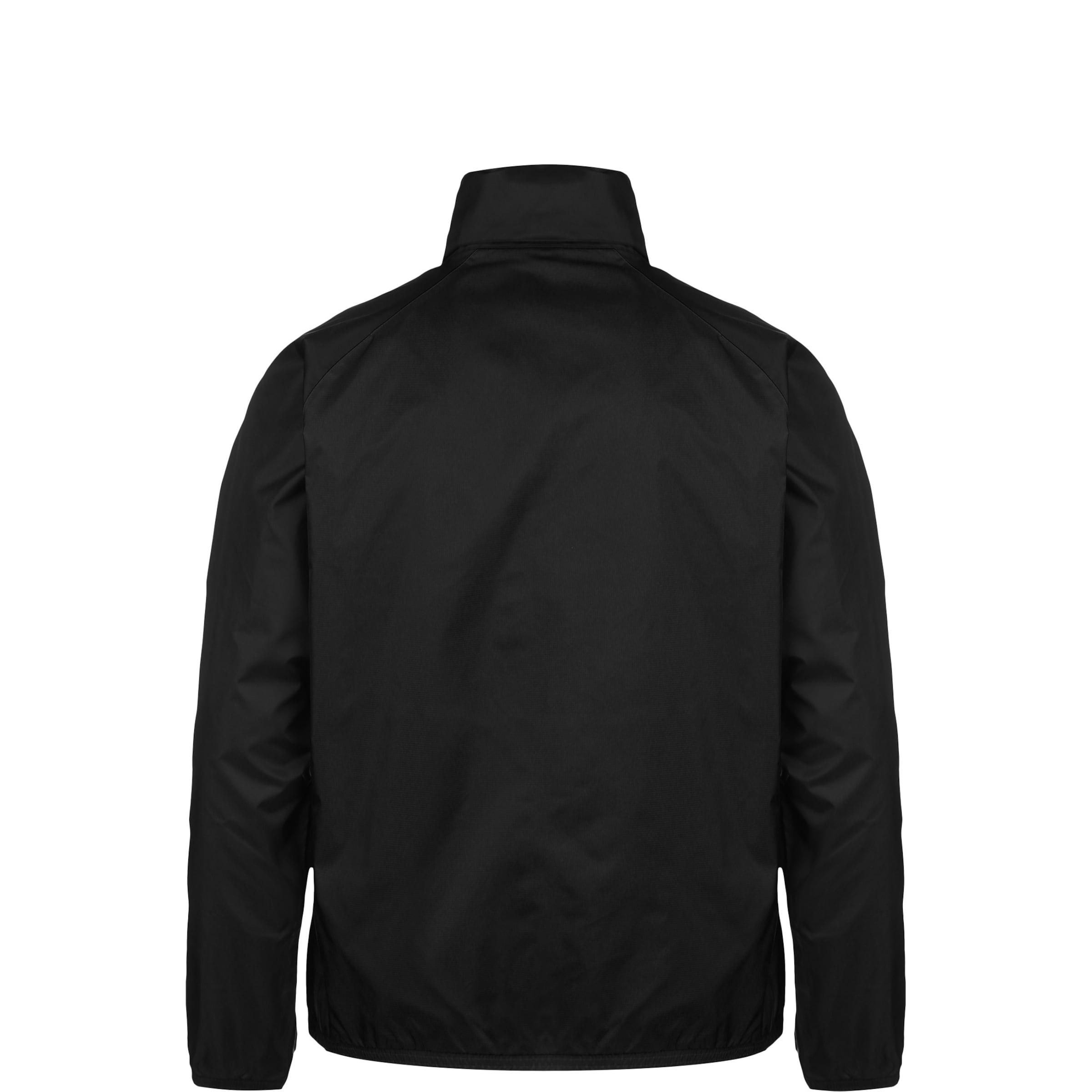 PUMA Athletic Jacket 'TeamLiga' in Black