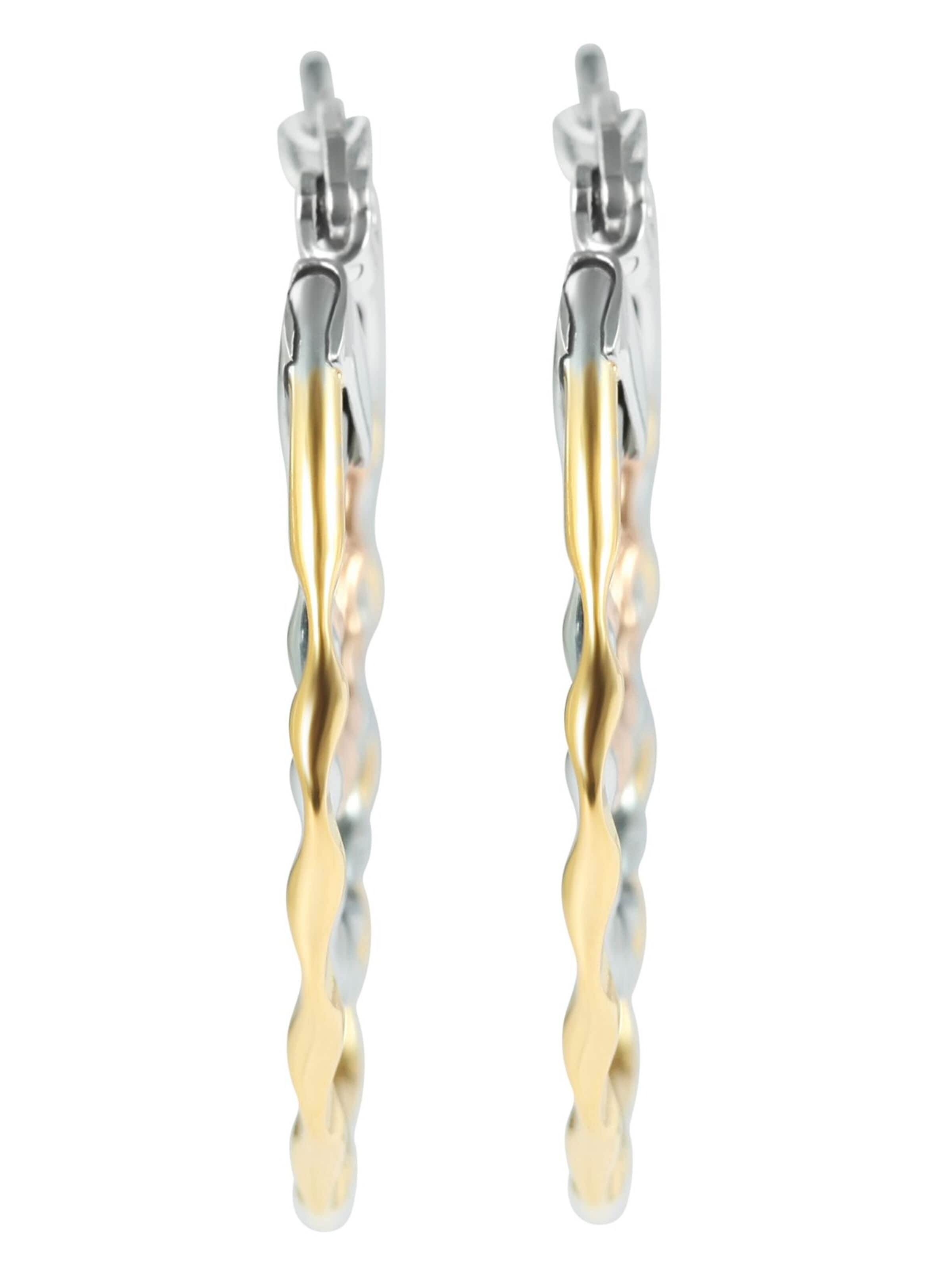Akzent Earrings 'Croli, langlebig' in Silver: front