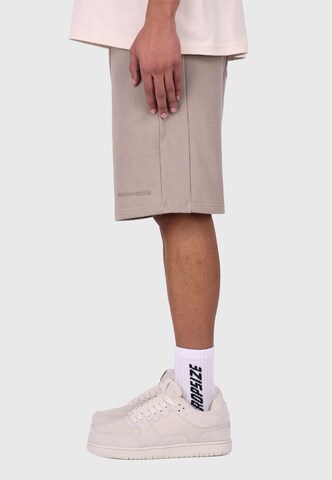 Dropsize Loosefit Broek in Grijs