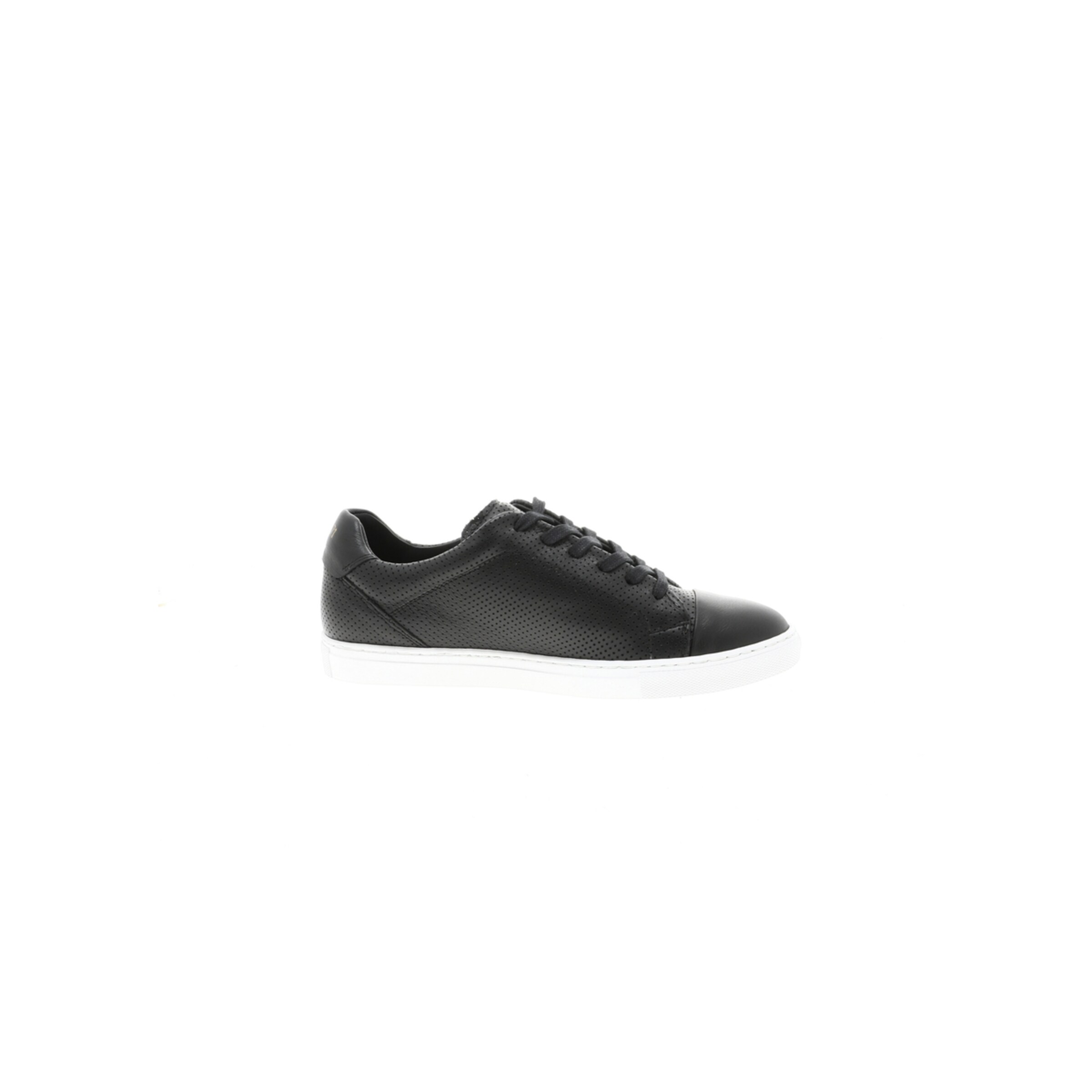 Camino71 Sneakers in Black