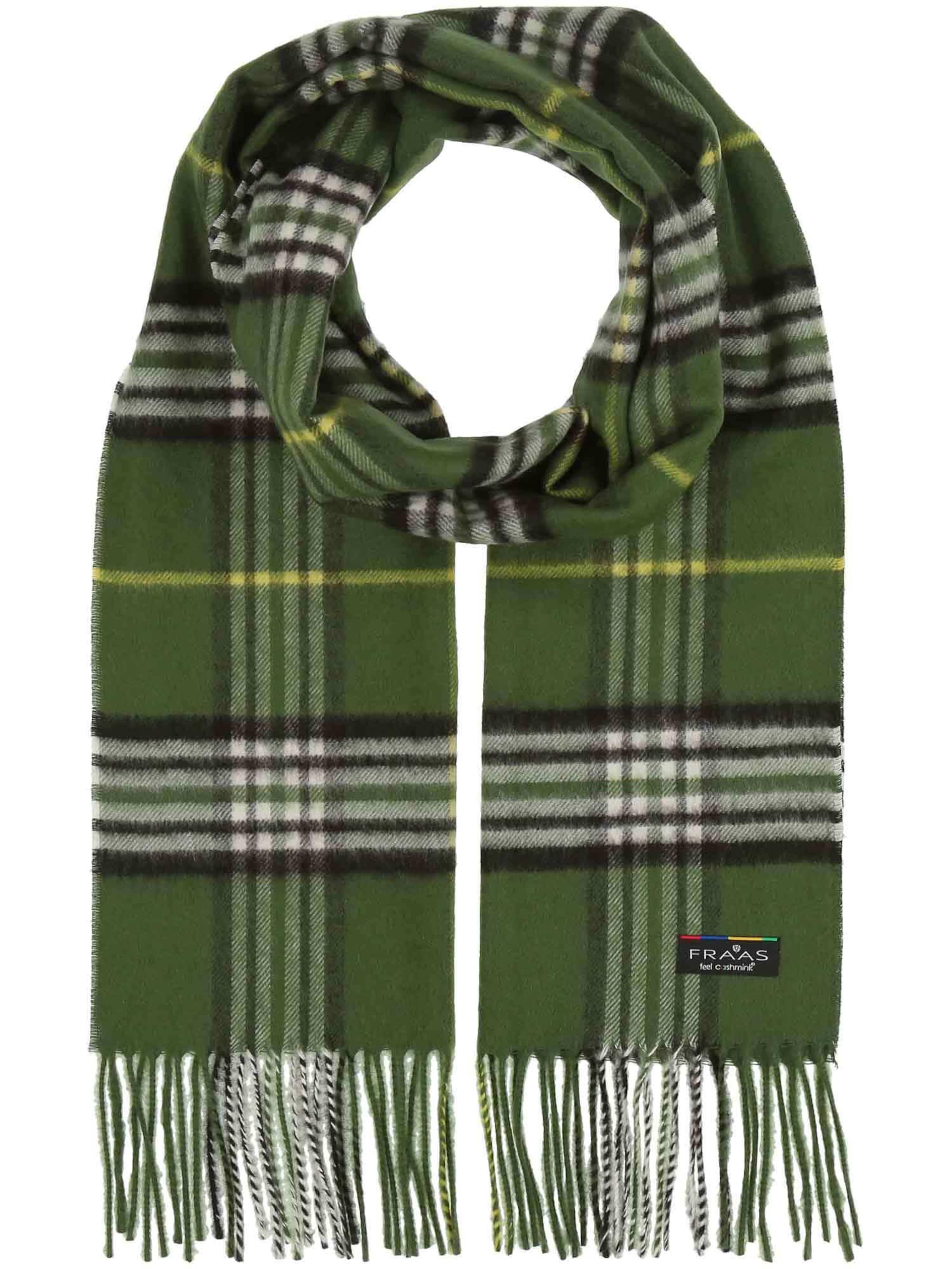 FRAAS Scarf in Green: front