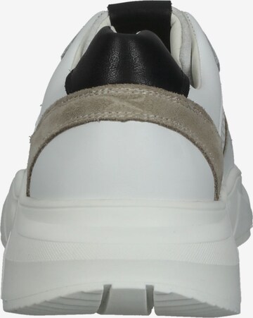 Sneaker bassa di BRAX in bianco