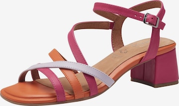 TAMARIS Sandals in Pink: front