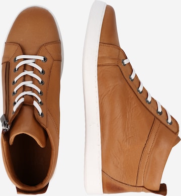 COSMOS COMFORT High-Top Sneakers in Brown