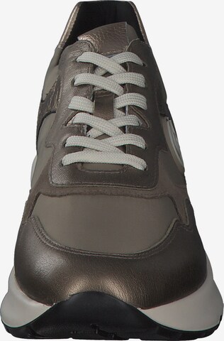 Nero Giardini Sneakers laag 'I205241D' in Brons
