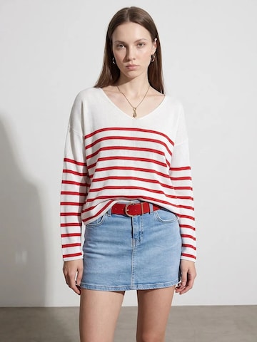 DilvinPulover 'Pullover' - miks boja boja: prednji dio