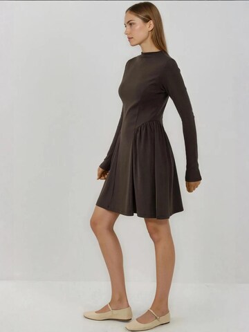 Hiccup Dress in Brown