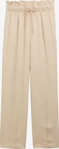 TOM TAILOR DENIM - Pantalón plisado en beige: frente