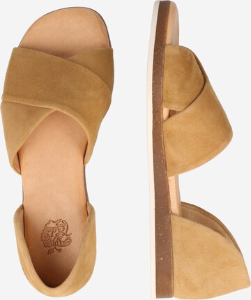 Apple of Eden Sandals 'Celine' in Brown