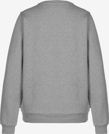 Sweat-shirt Fjällräven en gris