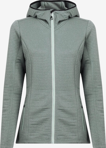 MCKINLEY Athletic Fleece Jacket 'Aami' in Grey: front
