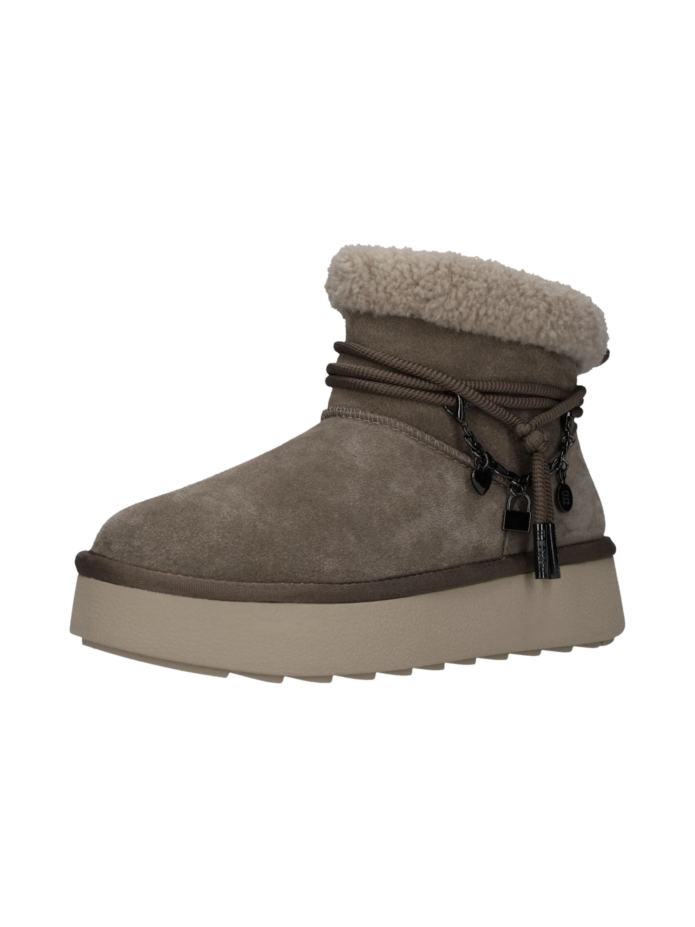 TT. BAGATT Boots in Grey: front