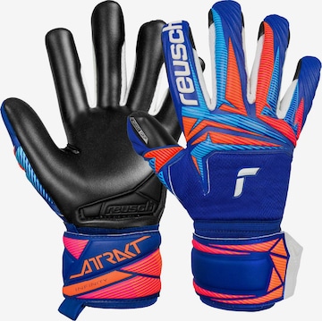 REUSCH Torwarthandschuhe 'Attrakt Infinity Evolution NC Junior' in Blau: Vorderseite