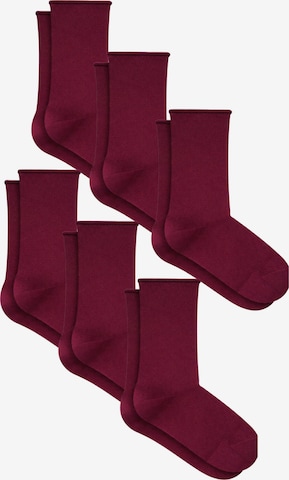 Albero Natur Socks 'Bio-Baumwoll-Socken mit Rollrand Unisex – 6er Pack' in Red: front