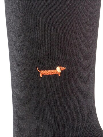 BURLINGTON Socken 'Brit Style' in Schwarz